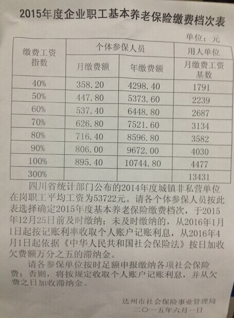 2015年度企业职工基本养老保险缴费档次表
